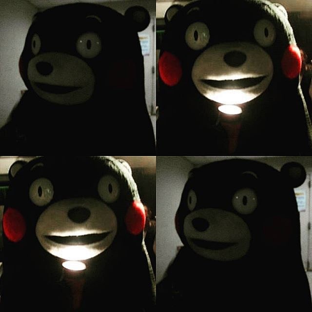 #熊本熊# #kumamon#