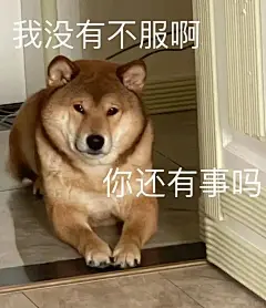 发疯时可以逆袭的表情包 - 小红书