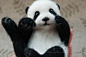 高级定制 羊毛毡 熊猫淘气包-淘宝网