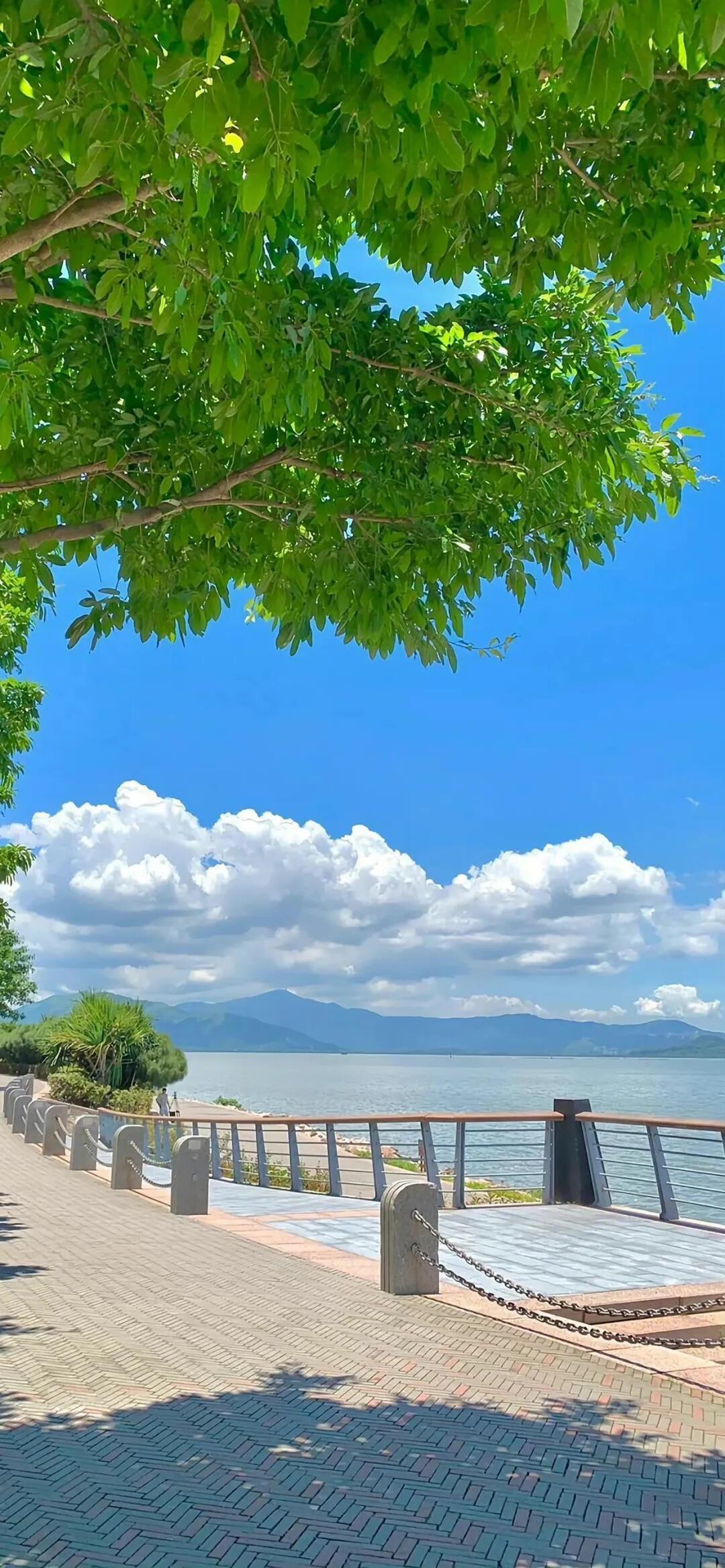 又发现一张还不错的手机壁纸