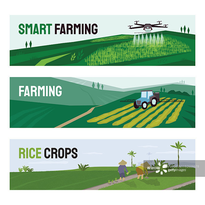 农业,稻,绘画插图,智慧,技术正版图片素...