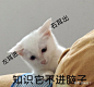 (7 封私信) 首页 - 知乎