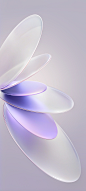 005ESgITly1hx6ut7tfs8j30u01uohdt