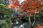[转载]2013年的深秋。京都桂离宫