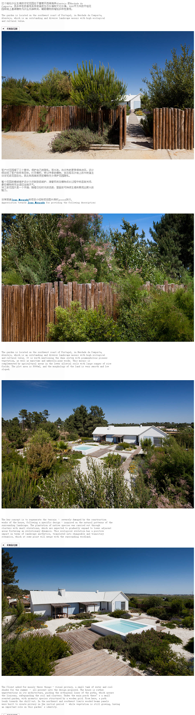 Garden in Comporta /...