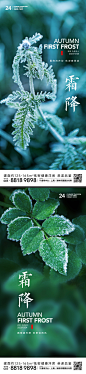 霜降节气海报-志设网-zs9.com