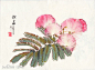 合欢花