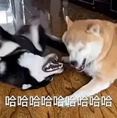 表情包