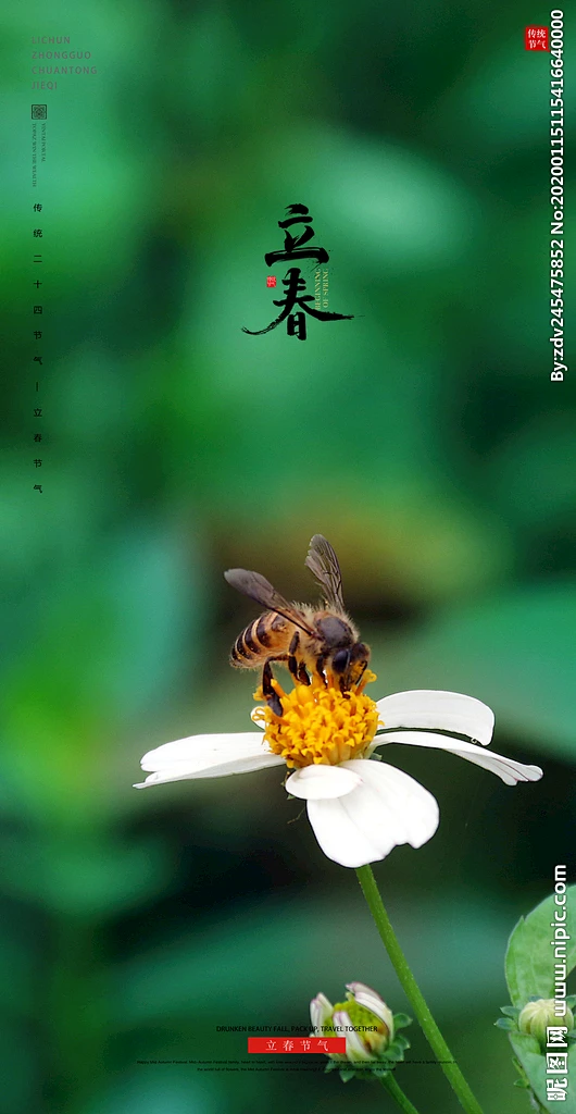 立春-花瓣网