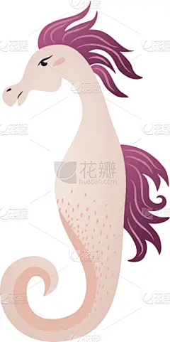 粉色,海马,彩色图片,白色,可爱的,华丽的,纺织品,野生动物,海洋,壁纸