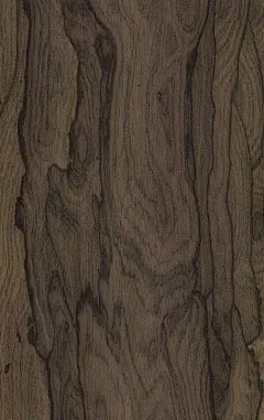 颜色/纹理:
墨西哥黑檀颜色为中至深棕色，有时会带点绿色或紫色色调，暗黑色纹理清晰贯穿板面，黑柿木有非常独特的板面纹理，特别是径切出来的木皮板面，被称之为“蜘蛛网”和“山水画”图纹。四分切的板面纹理类似于硬枫，边材是淡黄色，纹理通常是直纹或不规则，质地均匀，板面有良好的光泽。