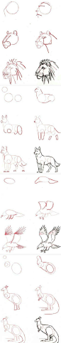 #手绘插画教程# 用结构剖析怎么画动物，超强干货 （转）@简笔画教室 ​​​​