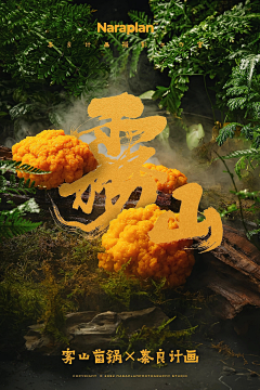 施小果采集到一系列