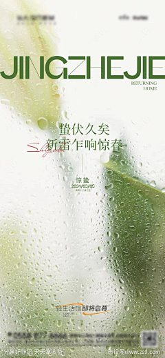 Ynan--采集到节气海报