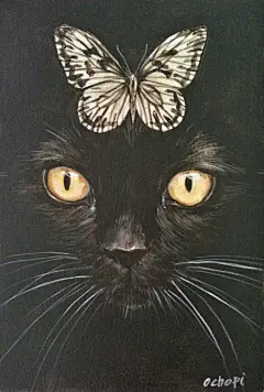 【插画设计】来自日本插画师 おちょぴ 画笔下的猫咪  |  thisisgallery.com/shop/fuchiokakeiko ​​​​
