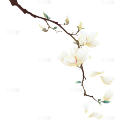 ggggggggjjjjjjjjjjj采集到材质