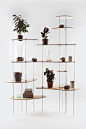 Nenupharorganicshelving2 Lesha Galkin | 美丽轻盈的睡莲置物架