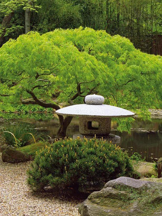 日式庭院，怎能缺了它！