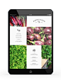 Montagü on Behance