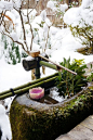 #园丁生活#   洗手钵，日本茶庭中的必备用品，为庭院增添了一份宁静。最近发了好多日式庭院的元素，可能……是天气太热了吧，看着禅意的花园，心里平静很多……晚安@天狼月季 @自种天然 @造园记 ​​​​