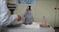 韩国兽医教大家如何正确移动小企鹅哦~...示范错误方法的时候，小东西扑腾那两下实在是太可爱了~ #微博全球优惠季#