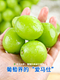 青提阳光玫瑰3-4-2