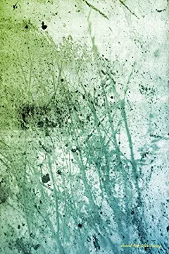 Journal您的人生之旅：垃圾背景，内衬日记，6 x 9，100页：Journal您的人生之旅，空白书亿万富翁：9781511585057：Amazon.com：图书