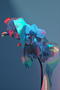 Flowers : A collection of flowers developed with Baillat Studio for Red Bull Music