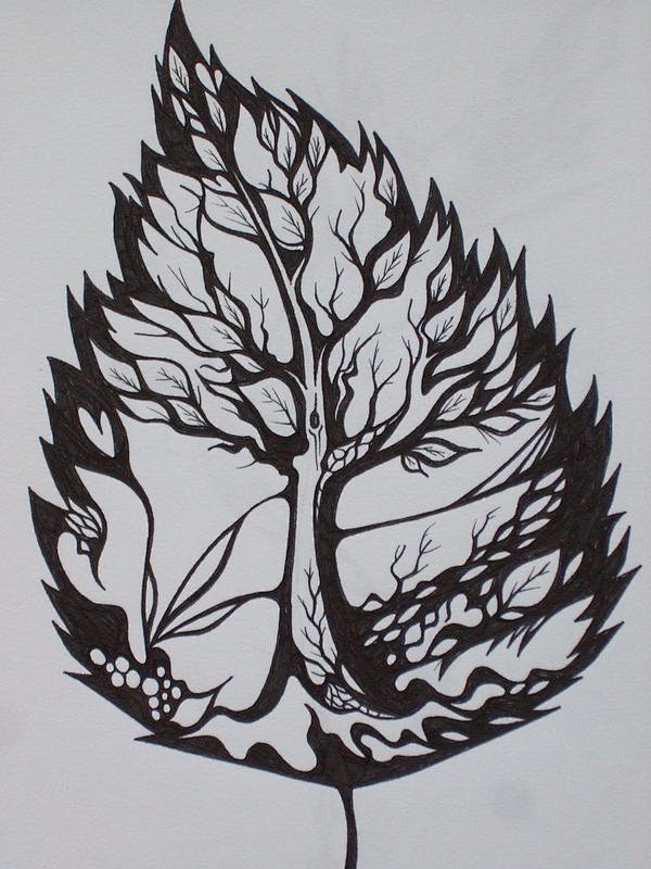 ·黑白·植物·叶子·树·纹身手稿·