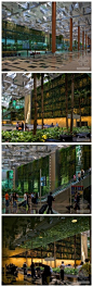大型垂直种植系统将东南亚赤道雨林引入新加坡樟宜3号候机楼内部，构建了一座似巨穴的工业建筑。由种植植物组成的挂毯不仅将建筑物划分为几个不同的陆/空部分，而且还连接垂直空间的登记区，这是一个独立玻璃安全屏。http://t.cn/zYRmT2I