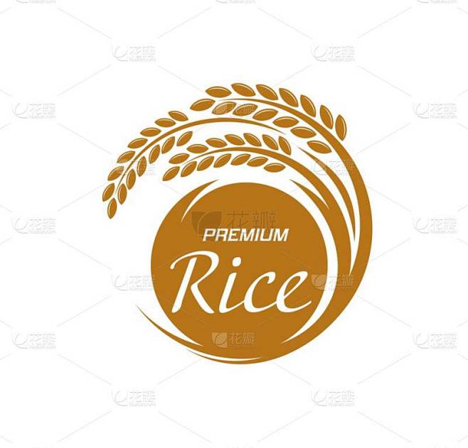 水稻图标、粮食作物和有机天然农业病媒符号.稻穗或稻茎米制品包装标签，农贸市场、杂货店和高档米制品签名