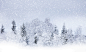 看大图 » 风景精选高清壁纸：美丽地球之冬季雪景（第2辑） #采集大赛#