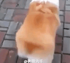 你像极了爱情采集到卡爱滴