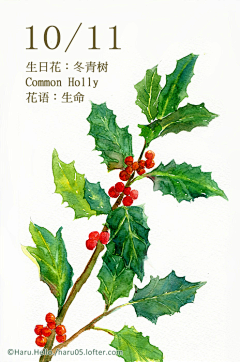 🌹🍎氷公子采集到每日一花十月