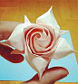 折纸玫瑰视频教程之漂亮四瓣花瓣纸玫瑰的折法教程