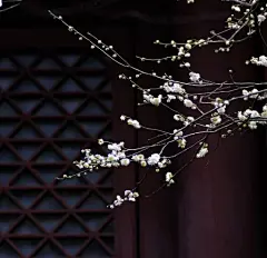 烟雨兰花的空间 [http://2751597193.qzone.qq.com]
不经意间，2016的指针已指向二月。二月，是严寒依旧，温暖却不再遥远的立春；是家家守岁，祈盼梦圆的除夕；更是辞旧迎新，相守团圆的中国年。这一月，我们历数得失，也为未来祝愿。
