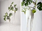 Monstera Pots / Tim Van De Weerd - 谷德设计网