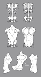 This week we draw torso! anatomy tutorial reference resources how to draw drawing learning practice challenge human body torso back ribcage abs pecs novice teach constructive forms shapes art discord skeleton bones muscles poses gestures structure