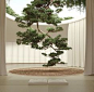 Let's discuss 6 positive changes the pandemic is bringing to the interior design world! #BiophilicDesign #Biophilia #NatureInspiredInteriorDesign #Wellbeing #InteriorTrends2020  #SustainableHomeDesign #SustainableHome #SustainableHomeDesignInteriors #EcoF