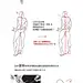 【基础教材】男女人体对比和透视分析~作者@凳凳凳凳子 喜欢的同学可以关注大大的微博~【原画梦APP学习更多精彩教程，点击链接后按右上角按钮，用网页游览器打开下载http://t.cn/zR62r1A 】（图片转载于网络）@艺数CG绘 @创意方舟教育 @GA游戏教育 @XRCG学院 @ART十 @绘画学院 @leewiART @獵奇鉴定中心