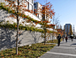 慶應義塾大学日吉キャンパス – Keio University Hiyoshi Campus « PLACEMEDIA, Landscape Architects Collaborative.