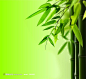 竹子背景图