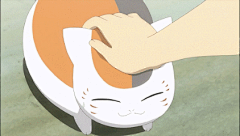 猫咪老师表情包_360图片