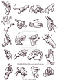 各种绘画参考---手、脚、猫、头部正侧面、人马？（via：Kibbitzer