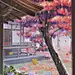 海水那么蓝