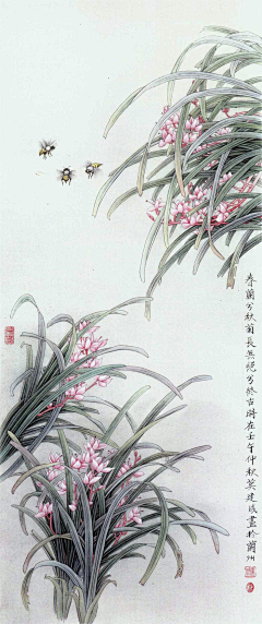 爱吃波板糖采集到国画  兰