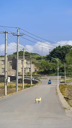 樱花 风景壁纸
38

江淮度寒春  
收集到  壁纸集


风景壁纸
9 62

A1心平气和  
收集到  风景壁纸

图片评论
1条

温柔小琛
拿图谢谢
查看更多评论