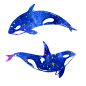 海洋 鲸鱼 PNG 水彩 星空 梦幻 唯美 小清新 手绘 水彩 手帐 插画 蓝鲸 炫彩 背景 免抠图PNG素材，更多素材尽在【点技能】