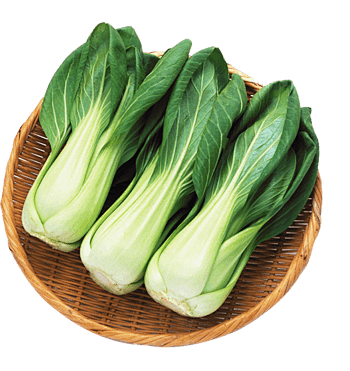 蔬菜  青菜