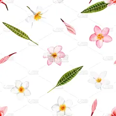 白色,兰花,水彩画,式样,华丽的,纺织品,壁纸,现代,花,复古